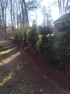 landscaping8